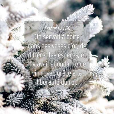 Picture 04 - Esther 1:7 LSG - On servait à boire dans des vases d'or, de - Bible Verse Picture