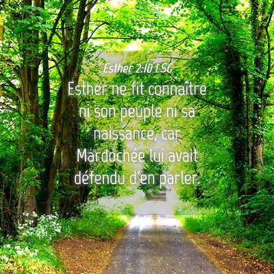 Picture 04 - Esther 2:10 LSG - Esther ne fit connaître ni son peuple ni sa - Bible Verse Picture