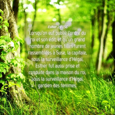 Picture 04 - Esther 2:8 LSG - Lorsqu'on eut publié l'ordre du roi et son - Bible Verse Picture
