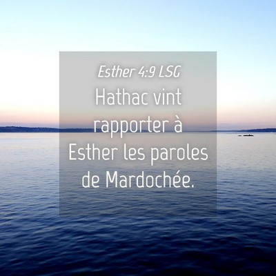 Picture 04 - Esther 4:9 LSG - Hathac vint rapporter à Esther les paroles de - Bible Verse Picture