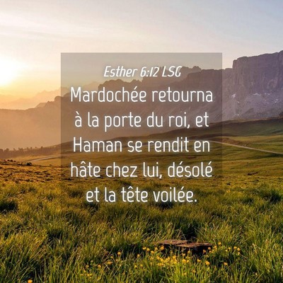 Picture 04 - Esther 6:12 LSG - Mardochée retourna à la porte du roi, et Haman - Bible Verse Picture