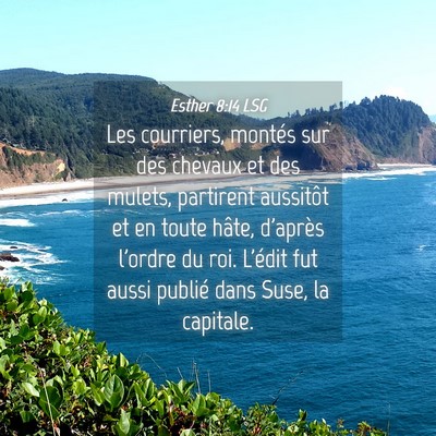 Picture 04 - Esther 8:14 LSG - Les courriers, montés sur des chevaux et des - Bible Verse Picture