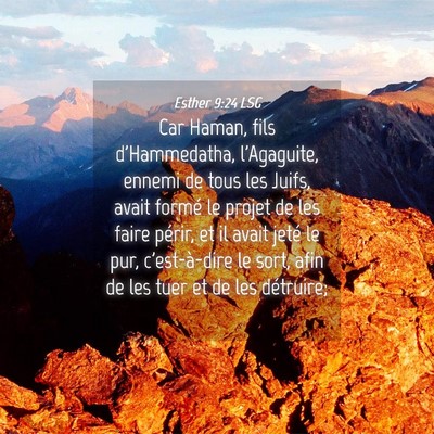 Picture 04 - Esther 9:24 LSG - Car Haman, fils d'Hammedatha, l'Agaguite, ennemi - Bible Verse Picture