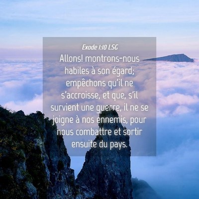 Picture 04 - Exode 1:10 LSG - Allons! montrons-nous habiles à son égard; - Bible Verse Picture