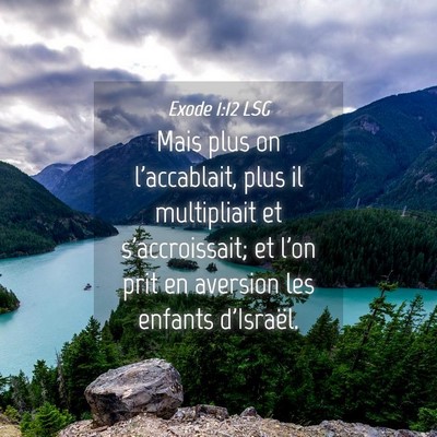 Picture 04 - Exode 1:12 LSG - Mais plus on l'accablait, plus il multipliait et - Bible Verse Picture