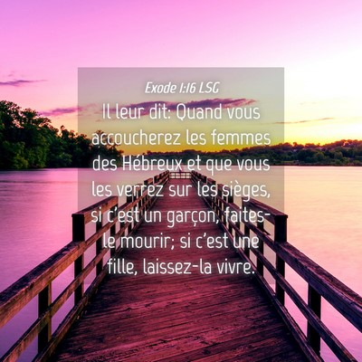 Picture 04 - Exode 1:16 LSG - Il leur dit: Quand vous accoucherez les femmes - Bible Verse Picture