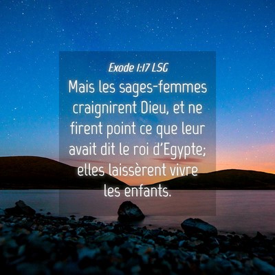 Picture 04 - Exode 1:17 LSG - Mais les sages-femmes craignirent Dieu, et ne - Bible Verse Picture