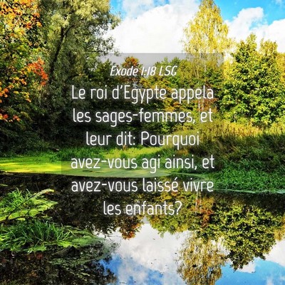Picture 04 - Exode 1:18 LSG - Le roi d'Egypte appela les sages-femmes, et leur - Bible Verse Picture