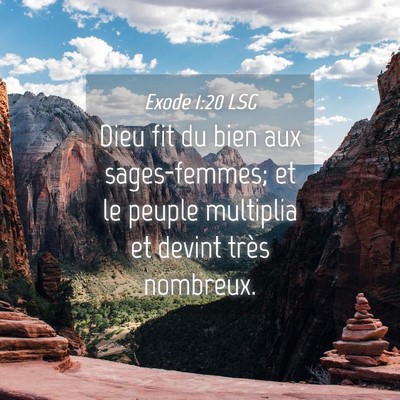 Picture 04 - Exode 1:20 LSG - Dieu fit du bien aux sages-femmes; et le peuple - Bible Verse Picture
