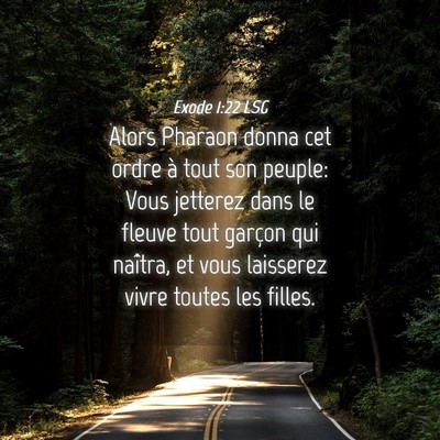 Picture 04 - Exode 1:22 LSG - Alors Pharaon donna cet ordre à tout son peuple: - Bible Verse Picture