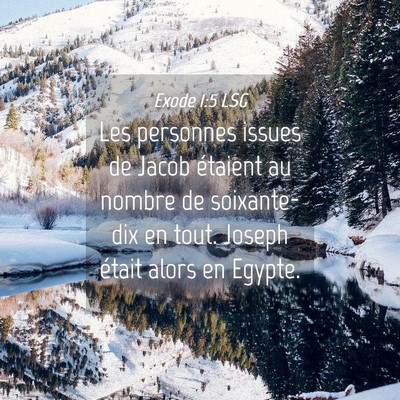 Picture 04 - Exode 1:5 LSG - Les personnes issues de Jacob étaient au nombre - Bible Verse Picture