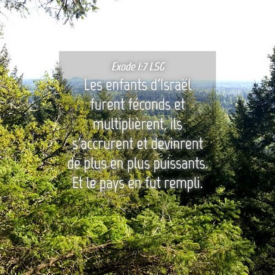 Picture 04 - Exode 1:7 LSG - Les enfants d'Israël furent féconds et - Bible Verse Picture