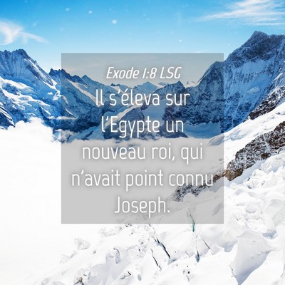 Picture 04 - Exode 1:8 LSG - Il s'éleva sur l'Egypte un nouveau roi, qui - Bible Verse Picture