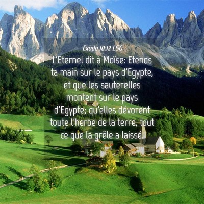 Picture 04 - Exode 10:12 LSG - L'Eternel dit à Moïse: Etends ta main sur le - Bible Verse Picture