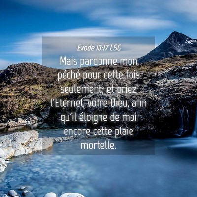Picture 04 - Exode 10:17 LSG - Mais pardonne mon péché pour cette fois - Bible Verse Picture