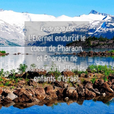 Picture 04 - Exode 10:20 LSG - L'Eternel endurcit le coeur de Pharaon, et - Bible Verse Picture