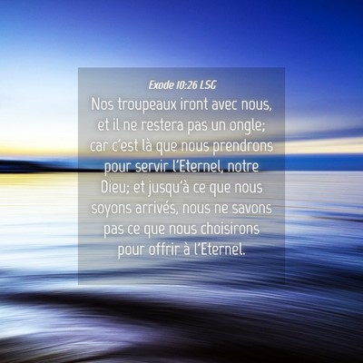 Picture 04 - Exode 10:26 LSG - Nos troupeaux iront avec nous, et il ne restera - Bible Verse Picture