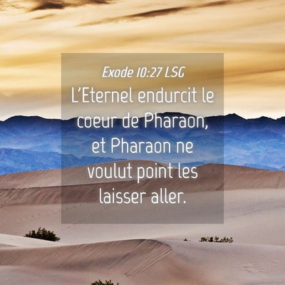 Picture 04 - Exode 10:27 LSG - L'Eternel endurcit le coeur de Pharaon, et - Bible Verse Picture