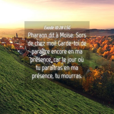 Picture 04 - Exode 10:28 LSG - Pharaon dit à Moïse: Sors de chez moi! - Bible Verse Picture