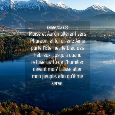 Picture 04 - Exode 10:3 LSG - Moïse et Aaron allèrent vers Pharaon, et lui - Bible Verse Picture