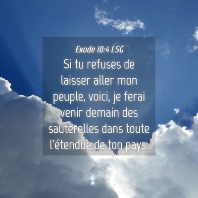 Picture 04 - Exode 10:4 LSG - Si tu refuses de laisser aller mon peuple, voici, - Bible Verse Picture