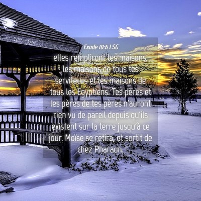 Picture 04 - Exode 10:6 LSG - elles rempliront tes maisons, les maisons de tous - Bible Verse Picture