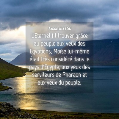 Picture 04 - Exode 11:3 LSG - L'Eternel fit trouver grâce au peuple aux yeux - Bible Verse Picture