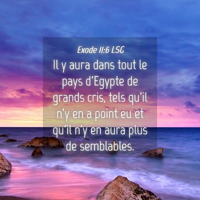 Picture 04 - Exode 11:6 LSG - Il y aura dans tout le pays d'Egypte de grands - Bible Verse Picture