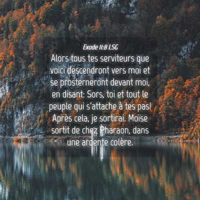 Picture 04 - Exode 11:8 LSG - Alors tous tes serviteurs que voici descendront - Bible Verse Picture