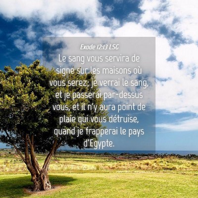 Picture 04 - Exode 12:13 LSG - Le sang vous servira de signe sur les maisons où - Bible Verse Picture