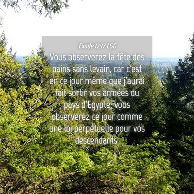 Picture 04 - Exode 12:17 LSG - Vous observerez la fête des pains sans levain, - Bible Verse Picture