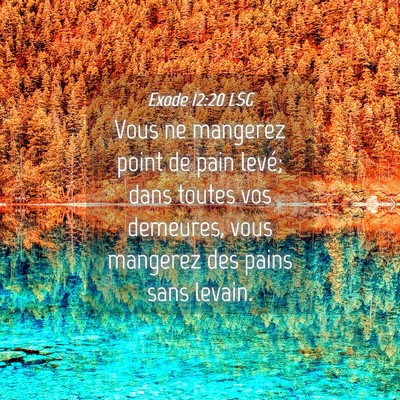 Picture 04 - Exode 12:20 LSG - Vous ne mangerez point de pain levé; dans toutes - Bible Verse Picture