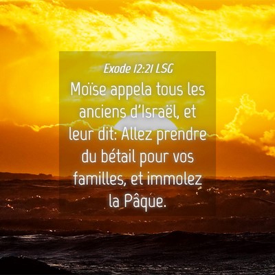 Picture 04 - Exode 12:21 LSG - Moïse appela tous les anciens d'Israël, et leur - Bible Verse Picture