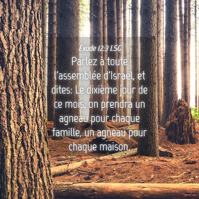 Picture 04 - Exode 12:3 LSG - Parlez à toute l'assemblée d'Israël, et dites: - Bible Verse Picture