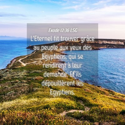 Picture 04 - Exode 12:36 LSG - L'Eternel fit trouver grâce au peuple aux yeux - Bible Verse Picture