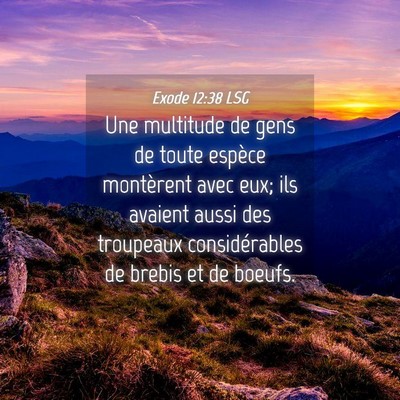 Picture 04 - Exode 12:38 LSG - Une multitude de gens de toute espèce montèrent - Bible Verse Picture