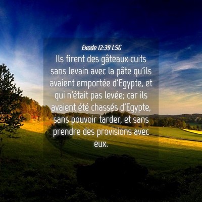 Picture 04 - Exode 12:39 LSG - Ils firent des gâteaux cuits sans levain avec la - Bible Verse Picture