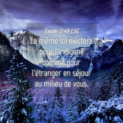 Picture 04 - Exode 12:49 LSG - La même loi existera pour l'indigène comme pour - Bible Verse Picture