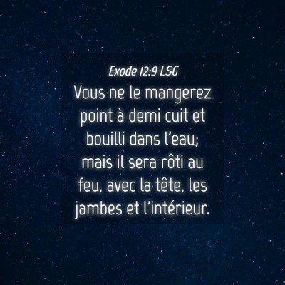 Picture 04 - Exode 12:9 LSG - Vous ne le mangerez point à demi cuit et bouilli - Bible Verse Picture
