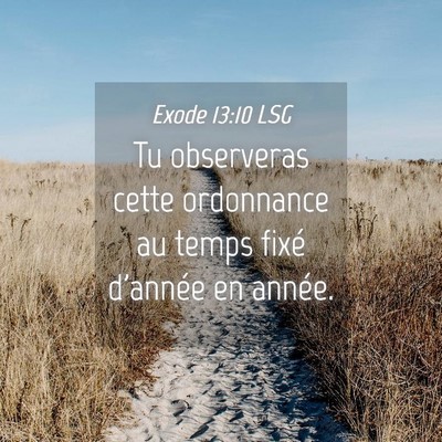 Picture 04 - Exode 13:10 LSG - Tu observeras cette ordonnance au temps fixé - Bible Verse Picture