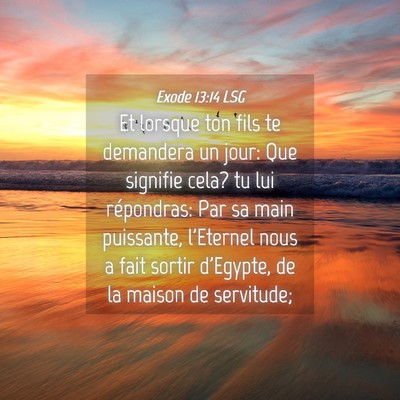 Picture 04 - Exode 13:14 LSG - Et lorsque ton fils te demandera un jour: Que - Bible Verse Picture
