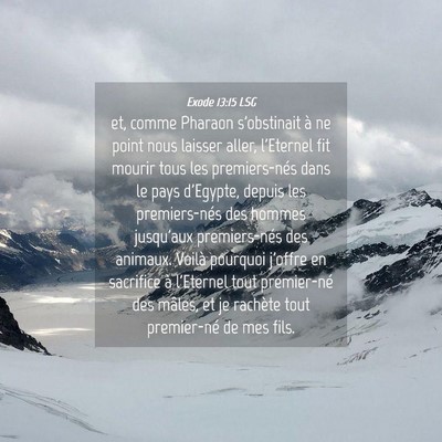 Picture 04 - Exode 13:15 LSG - et, comme Pharaon s'obstinait à ne point nous - Bible Verse Picture