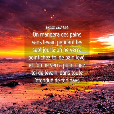 Picture 04 - Exode 13:7 LSG - On mangera des pains sans levain pendant les sept - Bible Verse Picture