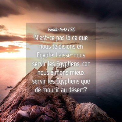 Picture 04 - Exode 14:12 LSG - N'est-ce pas là ce que nous te disions en - Bible Verse Picture