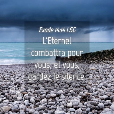 Picture 04 - Exode 14:14 LSG - L'Eternel combattra pour vous; et vous, gardez le - Bible Verse Picture