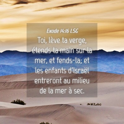 Picture 04 - Exode 14:16 LSG - Toi, lève ta verge, étends ta main sur la mer, - Bible Verse Picture