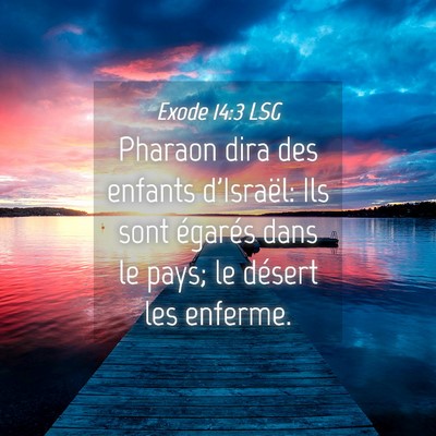 Picture 04 - Exode 14:3 LSG - Pharaon dira des enfants d'Israël: Ils sont - Bible Verse Picture