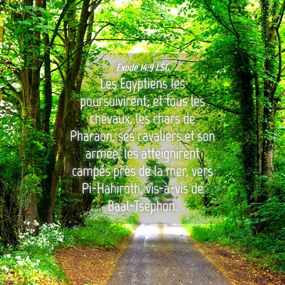 Picture 04 - Exode 14:9 LSG - Les Egyptiens les poursuivirent; et tous les - Bible Verse Picture