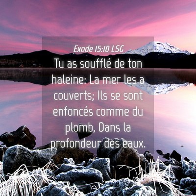 Picture 04 - Exode 15:10 LSG - Tu as soufflé de ton haleine: La mer les a - Bible Verse Picture