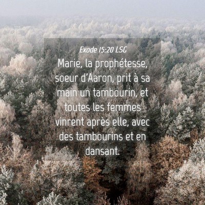 Picture 04 - Exode 15:20 LSG - Marie, la prophétesse, soeur d'Aaron, prit à sa - Bible Verse Picture